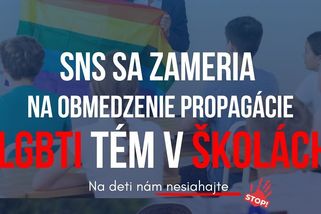 „Zabezpečit zdravý vývoj dětí.“ Danko chce omezit propagaci LGBTQ+ na slovenských školách - Novinky